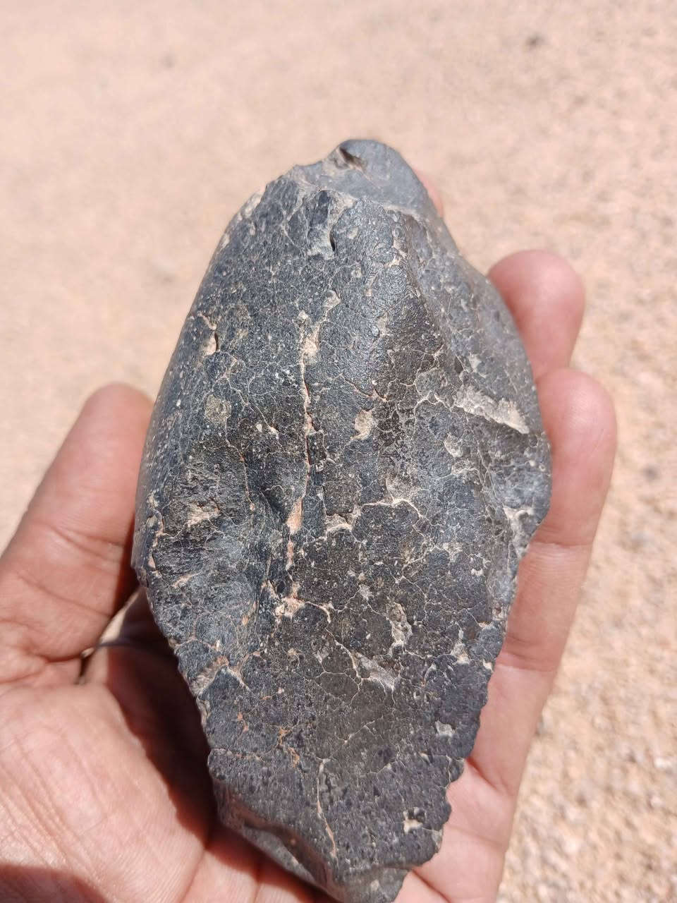 نيزك للببع من صحراء العراق كوفة, النجف


**إذا كنت صاحب هذا الإعلان وتريد حذفه لأي سبب، رجاءا أرسل رسالة إلى الدعم الفني**