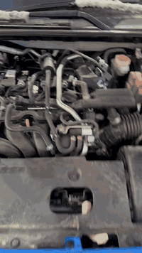 سنة خير عليكم يارب صحه وعافيه
سنترا 24 فول ماشيه 14 بعده كاتي
اخون الفديو توضحي عكس الفديو اني حاضر 
حادث ربع بنيد بدون قطرة دواخل عل فحص وشرط تجي تشوف بعينك عكس الحجي تاخذ كلشي مني 
اخوان اني رايح عل اربيل انشالله الاحد ابيع انشالله واحتمال ارقم ورجع التخدمه اني حاضر 145 ومجال قليل وتعرفون خواتهه بيش الي بدون مواصفات هيجي سعره واغلى
***********
