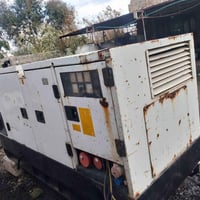 بيركنز انكليزي • 80كيفي • جديدة