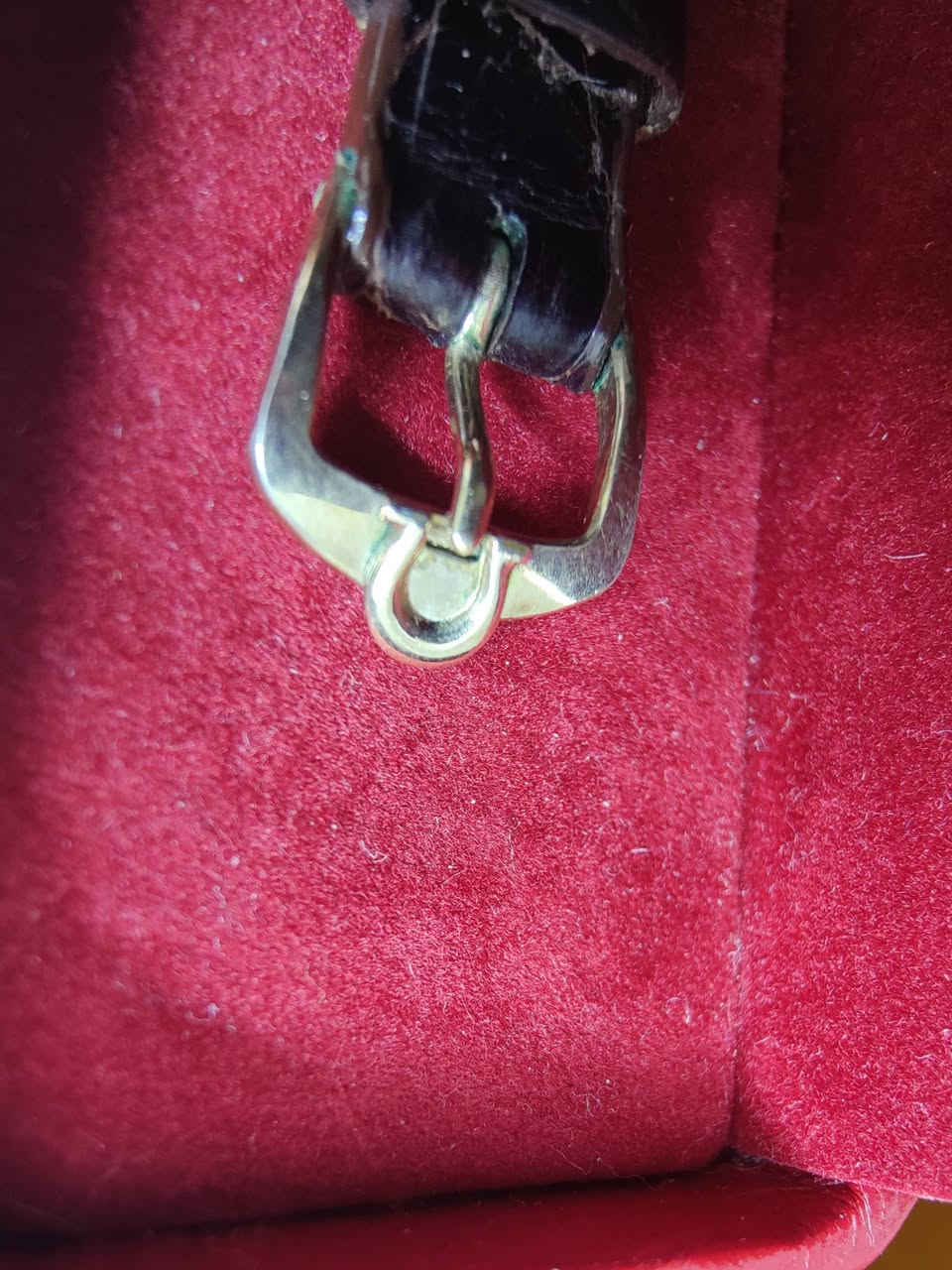 تم الحجز 
اوميگا كونسليشن نسائية مع علبة الاصلية اول تم 150 دولار


**إذا كنت صاحب هذا الإعلان وتريد حذفه لأي سبب، رجاءا أرسل رسالة إلى الدعم الفني**