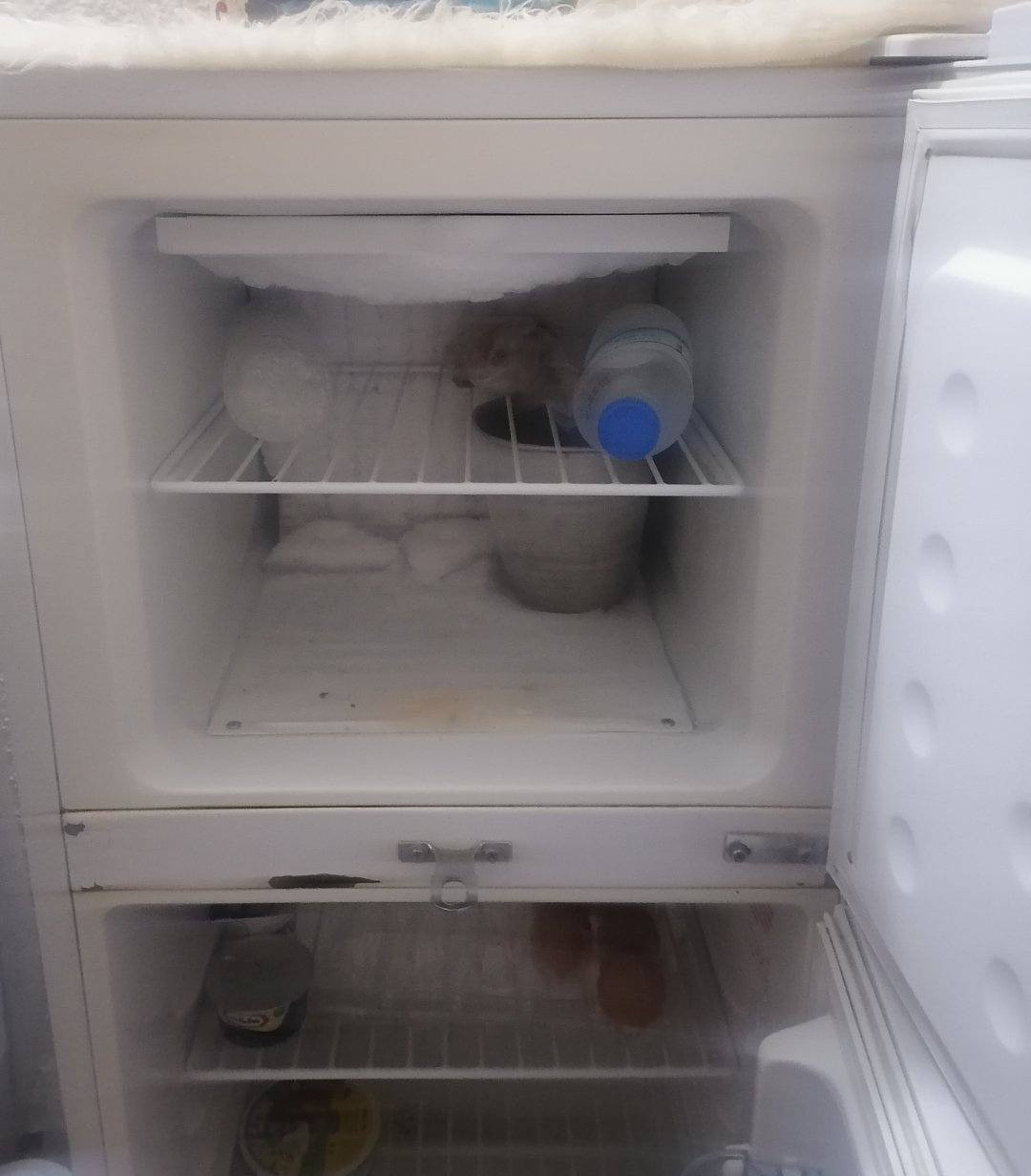 ثلاجة ١٠ قدم السعر ١٧٥ وبيها مجال المكان الشطرة


**إذا كنت صاحب هذا الإعلان وتريد حذفه لأي سبب، رجاءا أرسل رسالة إلى الدعم الفني**