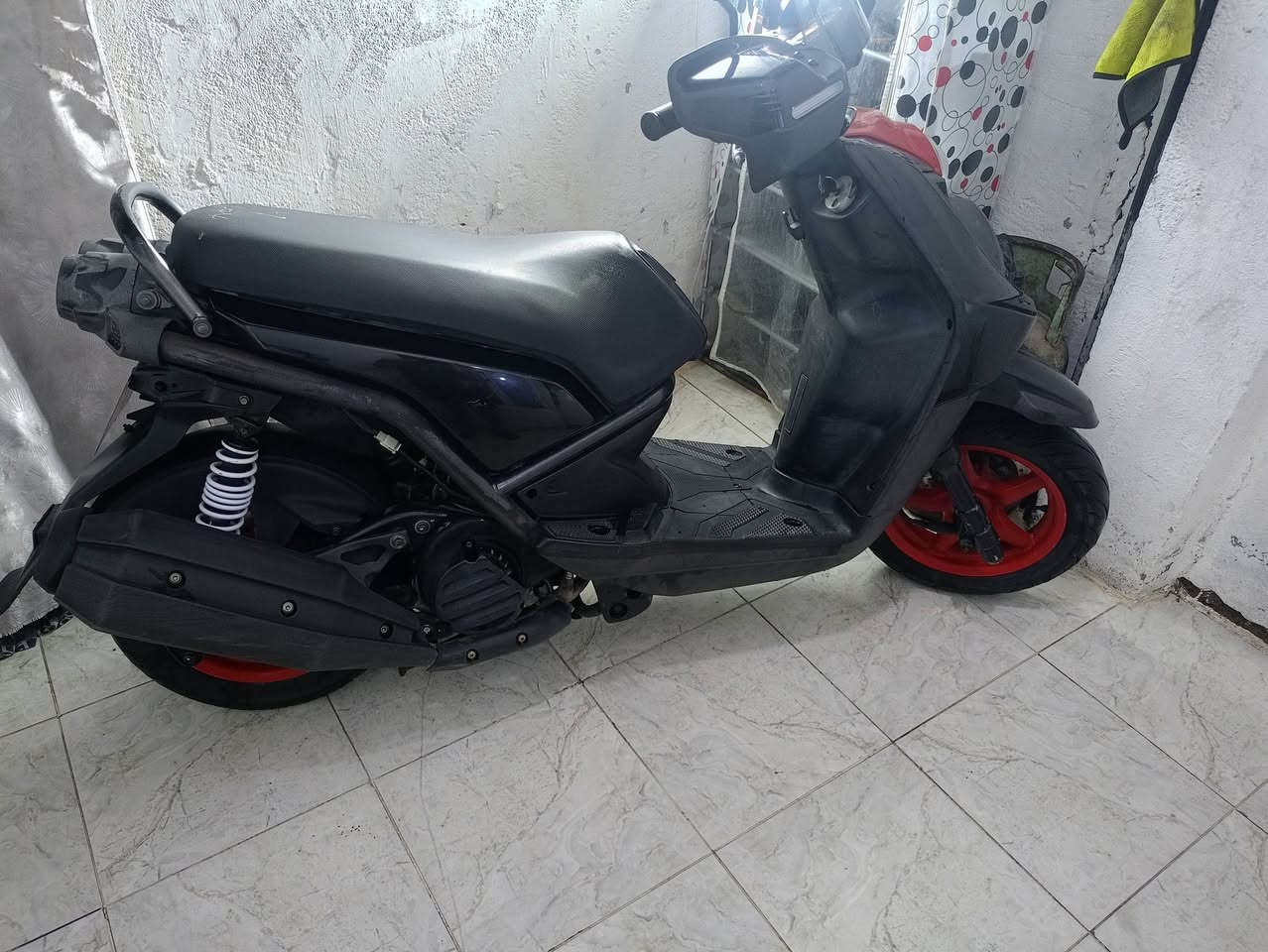 سلام عليكم سكنس جبلي للبيع  او مراوس بسكنس فحل سعره 1100وبيه مجال بصيط ***********
