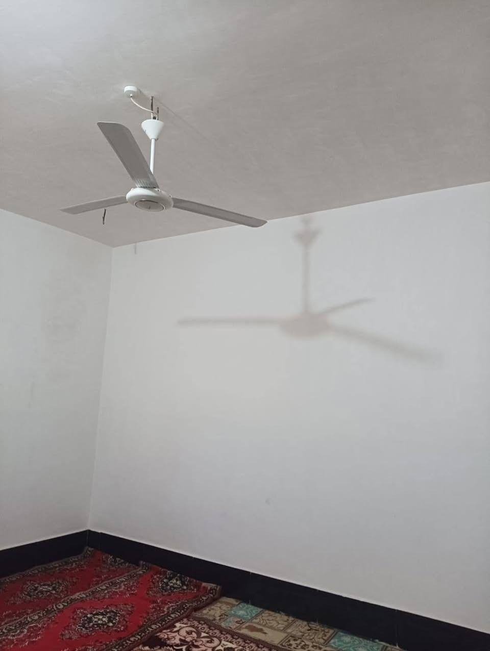 السلام عليكم من بعد اذن مدير الكروب المحترم دار للبيع طابو زراعي سند ٢٥ حي الحسين الباشية قرب طالب حكيم ابو عبدالله المساحة ٢٥٠م البناء طابوك السقف صب كونكريت البيت كامل من كلشي شغل درجة أولى ومتعوب عليه السعر ٧٥ وبيه مجال للإتصال *********** اخوان مكلف بالنشر هذا رقم صاحب الدار وبالعافية على الي يأخذه
