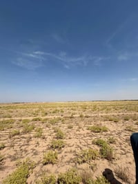 ٧٠ دونم • سند ٢٥ • تحويل مباشر