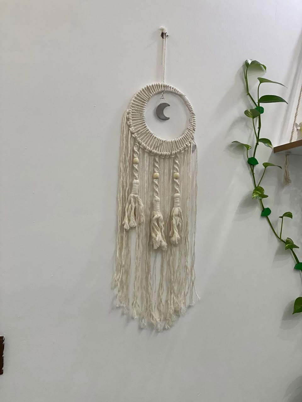 مكرميات رمضانية باسعار مناسبه توصيل مجاني مكرميات اسعار مناسبه رمضانيه توصيل محاني


**إذا كنت صاحب هذا الإعلان وتريد حذفه لأي سبب، رجاءا أرسل رسالة إلى الدعم الفني**