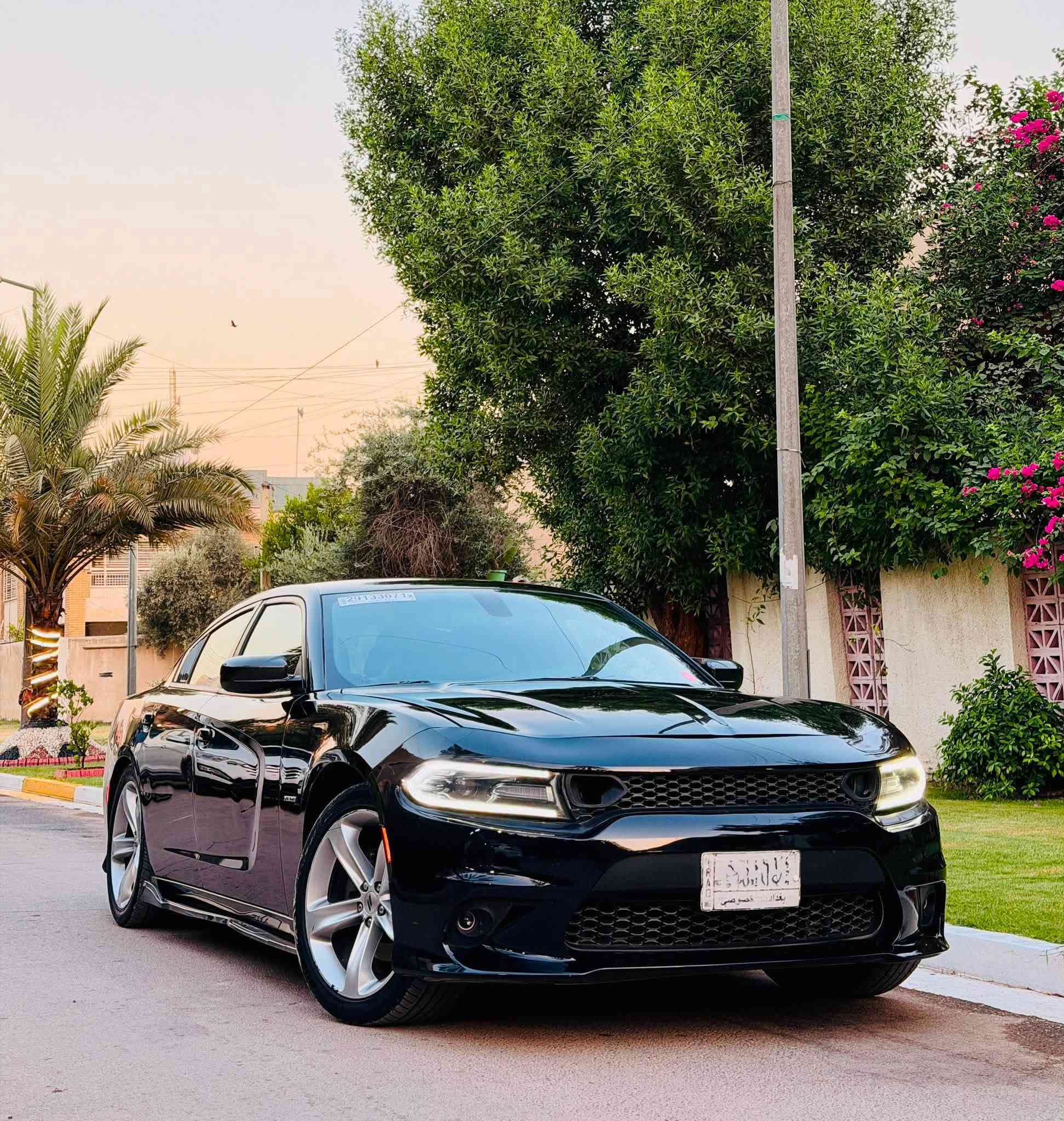 جارجر 2018 RT 5700 ماشية 98 كيلو شاشة جبيرة كشن كهرباء حساس خلفي تشغيل عن بعد مكينة كير تبريد اكسل كلة جديد تخم تاير بيها منضومت غاز 60 لتر لسعر 168 وبيهة مجال تبديل بنيد وصندوك بدون صبغ وبل عراق جاملق ليمن صبغ لا شواصي ولالغود بغداد زيونة ***********
