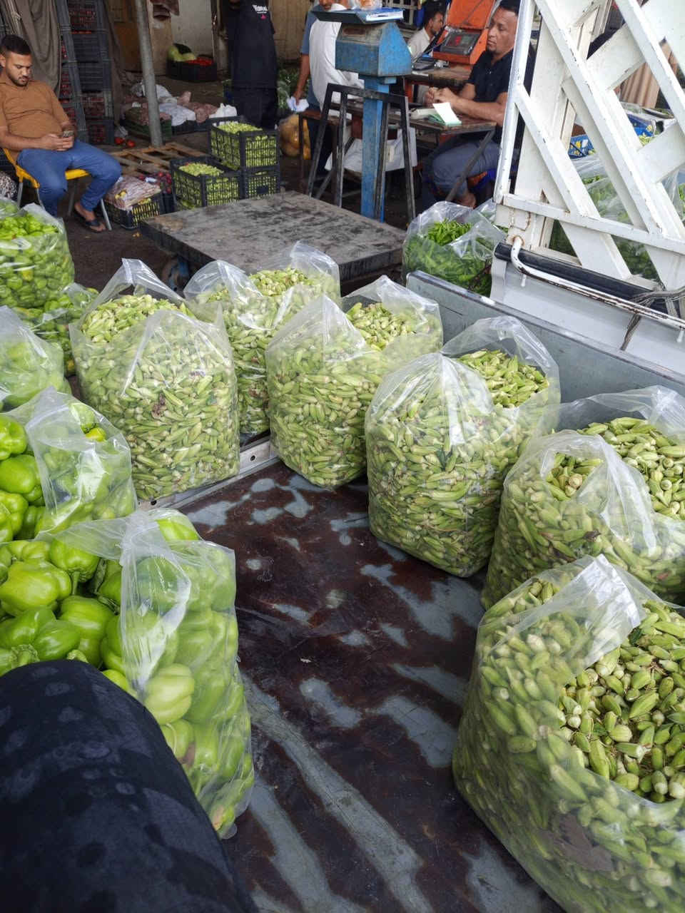 سلام عليكم تتوفر بذور بانيا درجه اولى متعهده سعر 25عنوان مشروع المسيب


**إذا كنت صاحب هذا الإعلان وتريد حذفه لأي سبب، رجاءا أرسل رسالة إلى الدعم الفني**