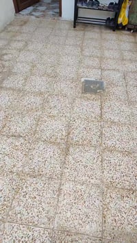 حي زيادة • ١٠٠م • سند مشترك