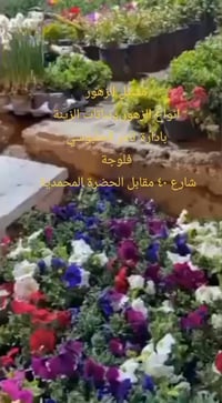 مشتل الزهور • نباتات زينة • فلوجة