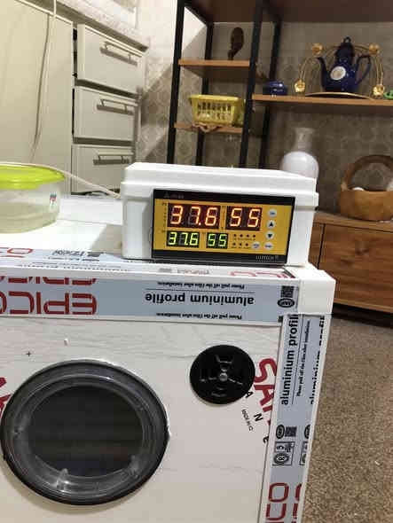 اللهم صل عل محمد وال محمد
متاح فقاسه فول اتوماتيك  مستعمله نظيفه جدا ( مستعمله وجبتين  نسبة التفقيس خير من الله) تصنيع الاخ ابو  ادريس
سعة ٧٢ ليضه
السعر ١٥٠ الف
كربلاء ***********
