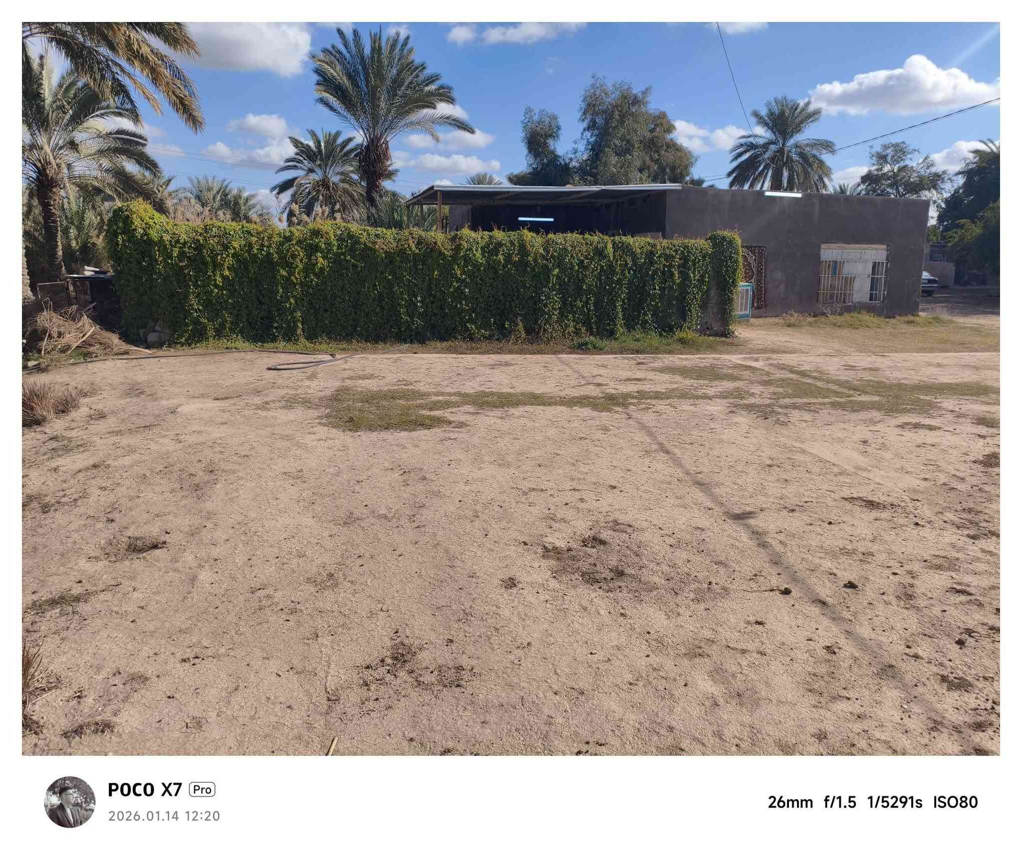 سلام عليكم
مزرعة البيع المساحة 4دونم مع بيتين +بتلو

صحيات خارجية استقبال خارجي
العنوان بابل مشروع المسيب الطاهريه 

وتبعد عن شارع حله بغداد 400متر

الاستفسار للاتصال ع لارقام التالية

***********

***********
