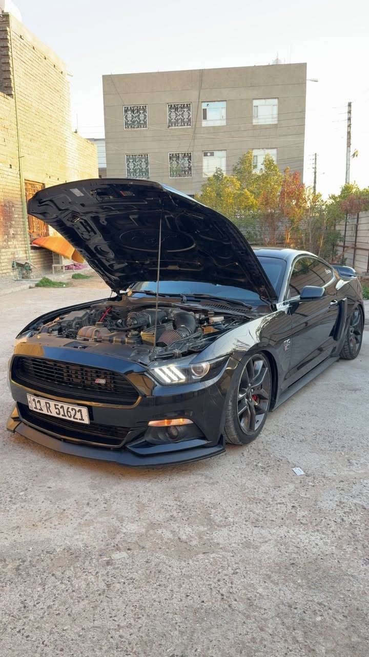 ترهم بيع او مراوس حسب القناعة
موستنك روش 2015 كير اوتو سوبر جارج رقم بغداد 
ماشيه 35 ميل حقيقي السياره جديدة جداً 
(السياره بدون ايرباك )بيهه جاملغ خلفي عكس السايق صبغ وجاملغ امامي جهه السايق  هم مصبوغ والبنيد مبدل لون بلادي   التزويد الي بل سياره كله من امريكا باستثناء الجكات .
الغراض الي ع السياره  .: 
سوبر جارج روش 
سستم ميثانول 
جكات كات باك 
دركه كاربون فايبر 
راديتر ماشميتو وعلي ختم روش 
كزوز روش 
هدرز امريكان ريسنك 
شوته AFE
بوابات علمود الصوت
شباك روش 
لحيه سرفيني 
سبايدر gt350 
مسطره مختمه روش 
وعليهه غراض هوايه بس ما الهن داعي ينذكرن 
السياره فول مواصفات كشنات تدفئه تبريد 
شاشه جبيره sync3 دمام خلفي دشبول ٧ الوان فجوج برومبو السيارة فول للاخير 
بدون اي نقص وعليهه برمجه سيف تيتو استخدام يومي السياره بأسمي هزه جديده كبل تحويل مباشر بأسم المشتري 
سعرهه 215 وبيهه مجال بسيط حك الجيه
رقمي *********** متواجد واتساب 
مكان السياره بغداد
