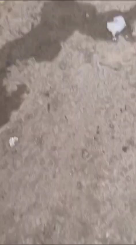 للبيع نيسان باترول مزايده بغداد قطعتين صبغ والباقي كفاله السعر 75......***********
