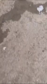 للبيع نيسان باترول مزايده بغداد قطعتين صبغ والباقي كفاله السعر 75........