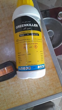 مبيد عام • تركي • جملة