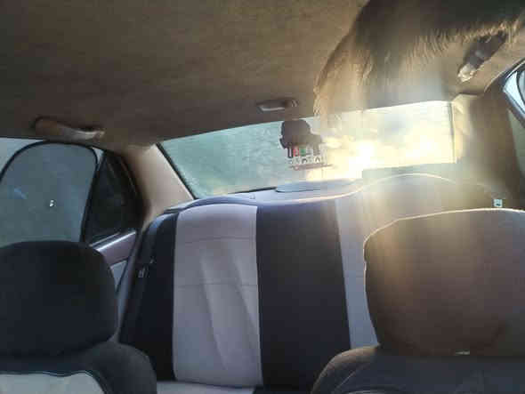 السلام عليكم  سمند موديل 12للبيع 
بيها باب الخلفي بي ضربه ومصلح بدون دواخل ضربه خفيفه صدر امامي خلفي جديد مشط ستيرن جديد باتري نوزلات جدد تبريد شغال تدفئه شغاله سياره خير من الله بس بيها محرك ينقص دهن هوه سمند معروف كله يصرف دهن وبيها خيط بخار خفيف 
مكاني بغداد الكاظميه  
السعر 37وبيها مجال 
***********
