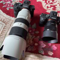 سوني A7R4 • عدسة 70-200 GM • سوني A7III 85مم
