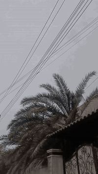 السلام عليكم كورلا ستيشن بأسمي للبيع كفالة كص ونقل محرك وكير نضيفات السعر 45 بيها مجال مستعجل ع البيع
مكان بصره حيانيه بيها نقص الدرايم شفت بي صوت 
***********
