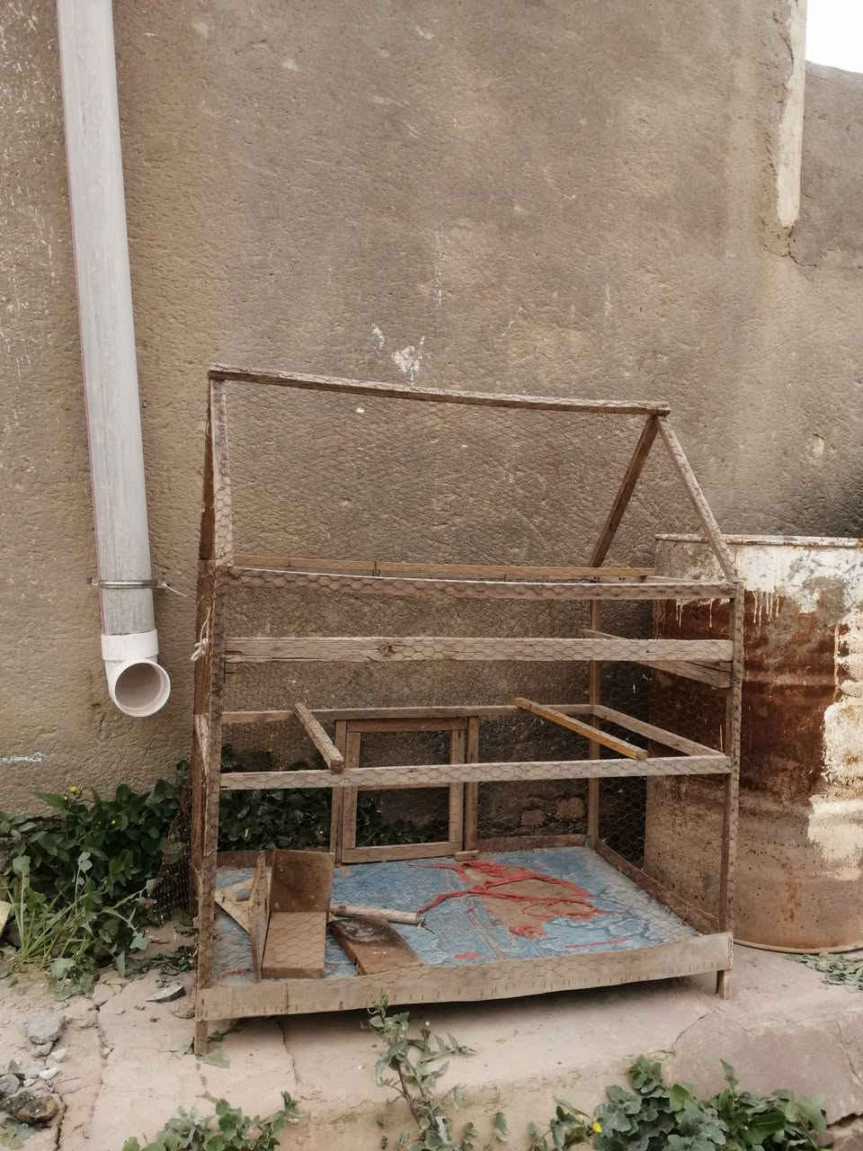 قفص للبيع
الطول 44 و العرض 39 

قيم واخذ 

***********
