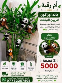 🎊عرض خاص لفتره محدوده  يتوفر لدينا جميع اكسسوارات نباتات وسنادين  🚕توص...