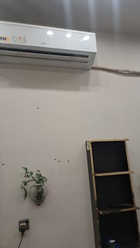 سبلت • طن ونص