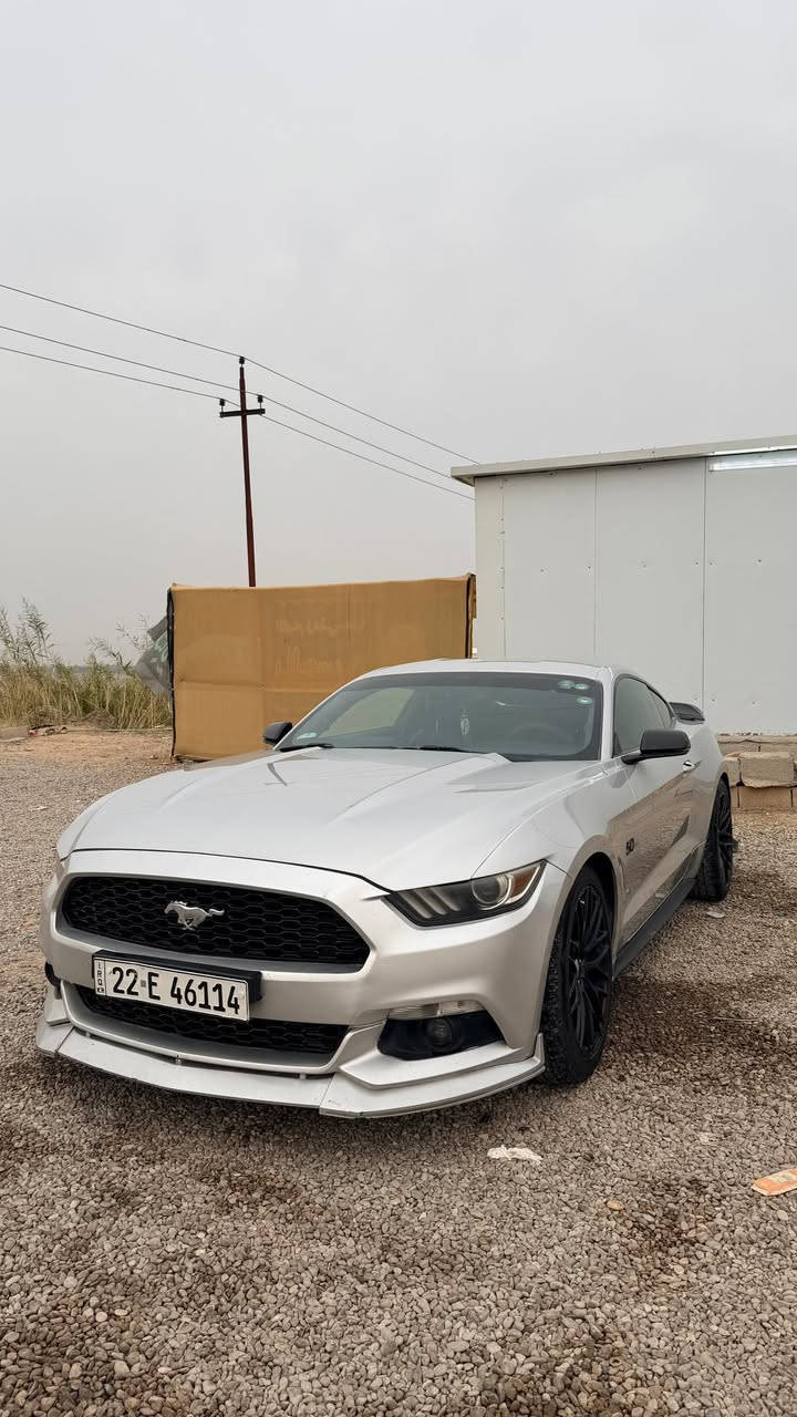 اعادة النشر بسبب الوعود الكاذبه ❌❌
السلام عليكم انظف موستنك ايكو 2016 بريميوم(فول مواصفات) السعر 135) 💯💯
كير محرك تبريد صدر كهربائيات كله كفالة 
المواصفات 
تدفئه وتبريد كشنات 
كشنات جلد 
رادار خلفي جانبي 
أناره زينون 
كشن ميموري كهرباء جلد 
كير اوتماتيك 
مودات قيادة و ستيرن 
أناره 7 ألوان دشبول و أرضيات 
شاشة كبيره 
رقم أربيل هزه و سنويه باسمي تريد تحويل تريد وكاله 
(الضرر)
ثلاث قطع معجنات وعلى حالتهن بدون دواخل وبدون شواصي كفاله 
السياره  رقمها أربيل كير  محرك مكفول تحويل ثاني يوم باسمي سياره 
مابيها اي نواقص من ناحية كير محرك كهربائيات 
مكاني الانبار الدوره السعر ***********
