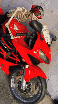 Rr 600 موديل 2003 سعر قفل 13 ورقه
كشر بلا مكينه شرط حاويه مماشي بالعراق ولا متر 
مكاني حله 
***********
