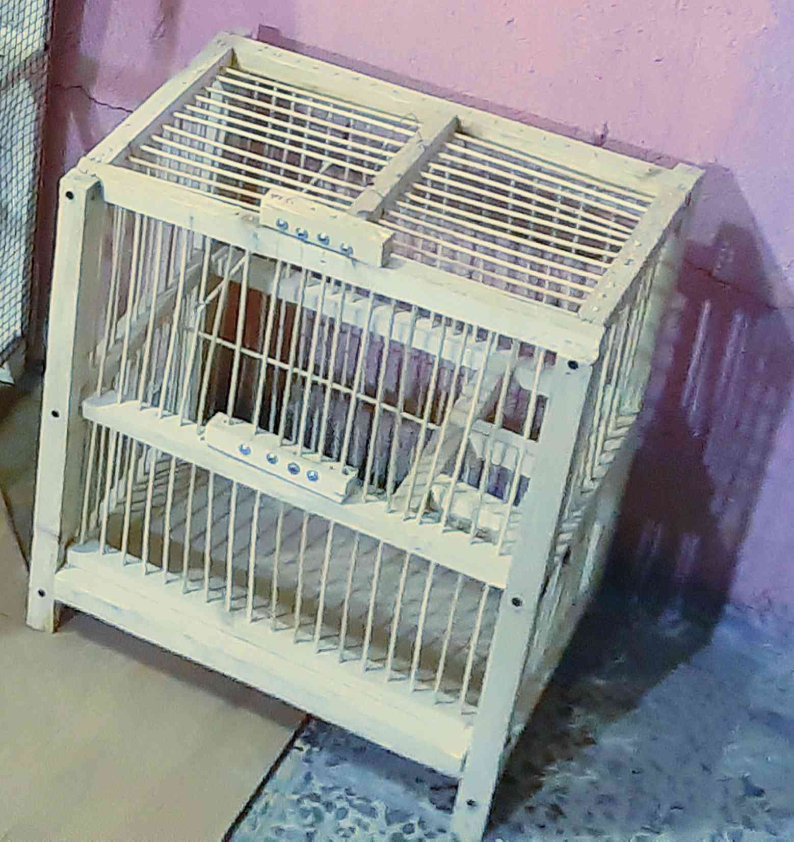 #سلام عليكم#متاح قفص خشبي مميزاتة ( جرارة لتنظيف ويحتوي على مدرج لتثبيت عليه اكل البلبل )المكان(براكية شارع مطار القديم)
القياسات(ارتفاع 50 واجهيتة 45 النزال 30 السعر 15 قفل لتواصل خاص


**إذا كنت صاحب هذا الإعلان وتريد حذفه لأي سبب، رجاءا أرسل رسالة إلى الدعم الفني**