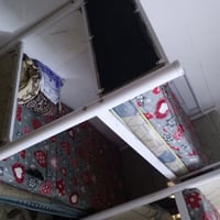 تخم • جرابي