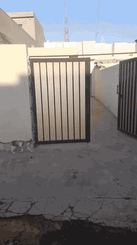 سلام عليكم بيت للبيع طابو تحويل مباشر . بسم شخص واحد يتكون من  
غرفه واستقبال ومطبخ وصحيات  سعره.  25,مليون ***********
