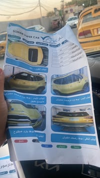 سلتوز • ٢٠٢٢ • بدون صبغ