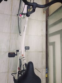 باسكل جديد • قفل مكاني • ديالى بلدروز