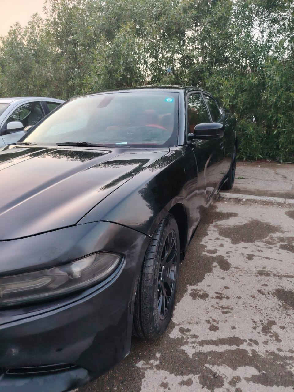 جارجر ذي قار بسمي بيهة وجاملغ مبدل و٣ قطع صبغ السعر ١٤٠ السيارة لا شاصي ولا لغود لا تكم داخل سليمه
سيارة حلوة مرتبه متعوب عليها مكينه ٣٦٠٠
الي يحب يتواصل على الرقم *********** مكانها بغداد عليها ادامه كامله
