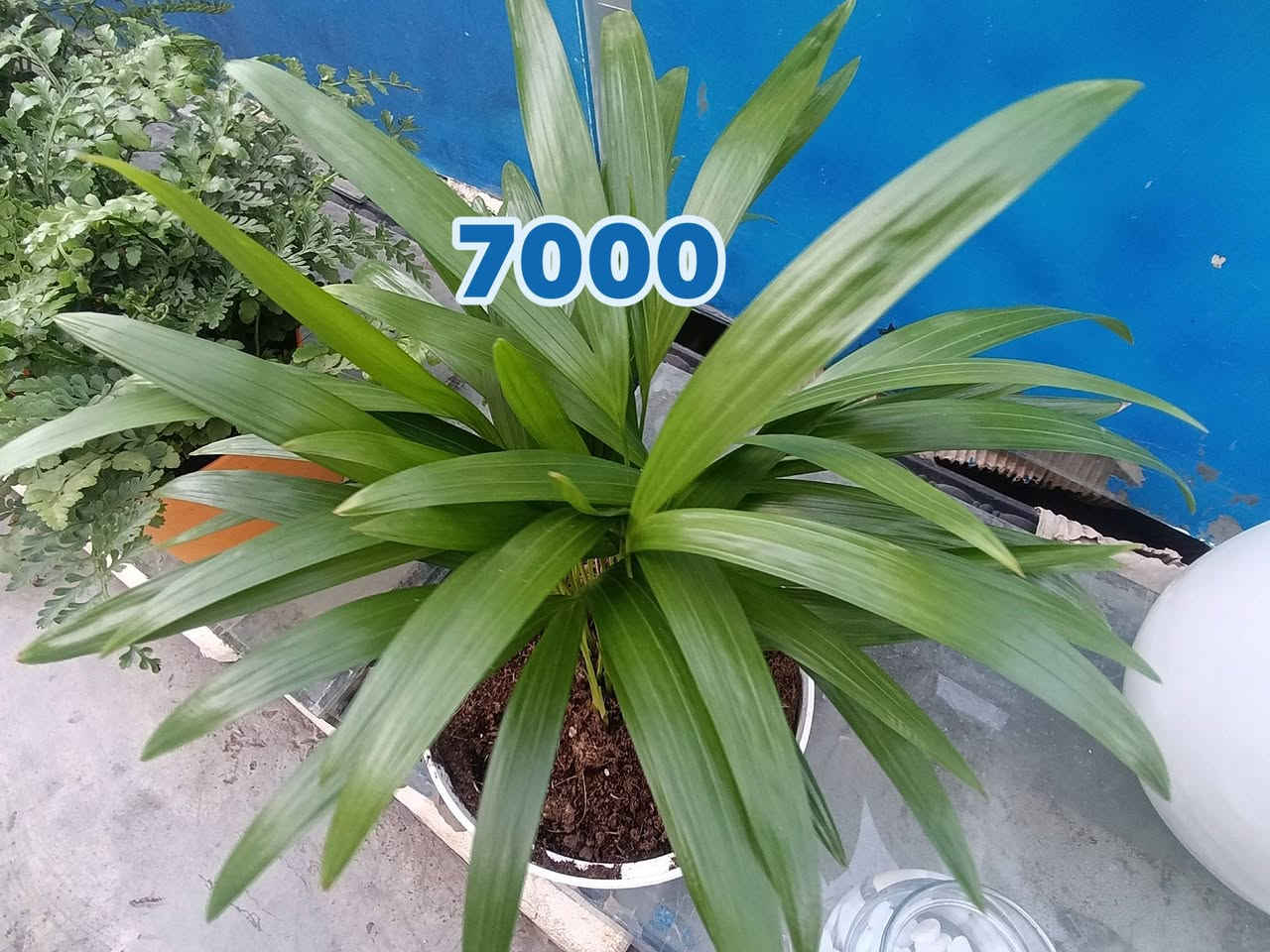 تخفضيات تعال صفحه وشوف كلشي اكو 
***********
