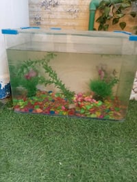 حوض سمك • الكوت • شارع يعقوب