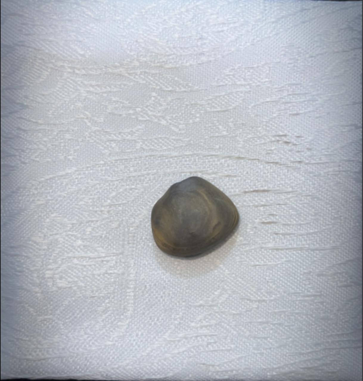 سلام عليكم مجموعة احجار كريمة مع احجار روحانية بيهم سليماني بيهم داوودي بيهم سلطاني  راسلني وتدلل وذا  تردون سلعة وحدة اساهل بيهم ان شاء الله ***********
