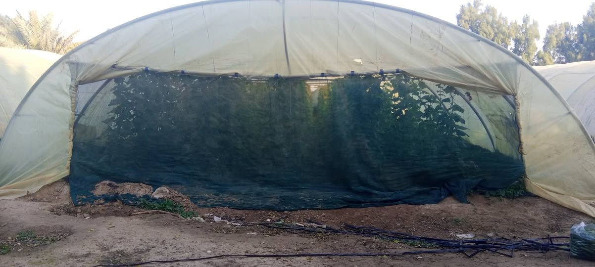 مرخصت الأدمن سلام عليكم للبيع بيوت بلاستك العدد 3اردني  نضيفات  المكان بابل جبله   رقم تلفون ***********
