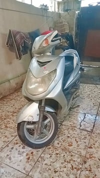 سكنس فحل نوزل بغداد حي اور سعر 550 بيهة مجال 07715501340
