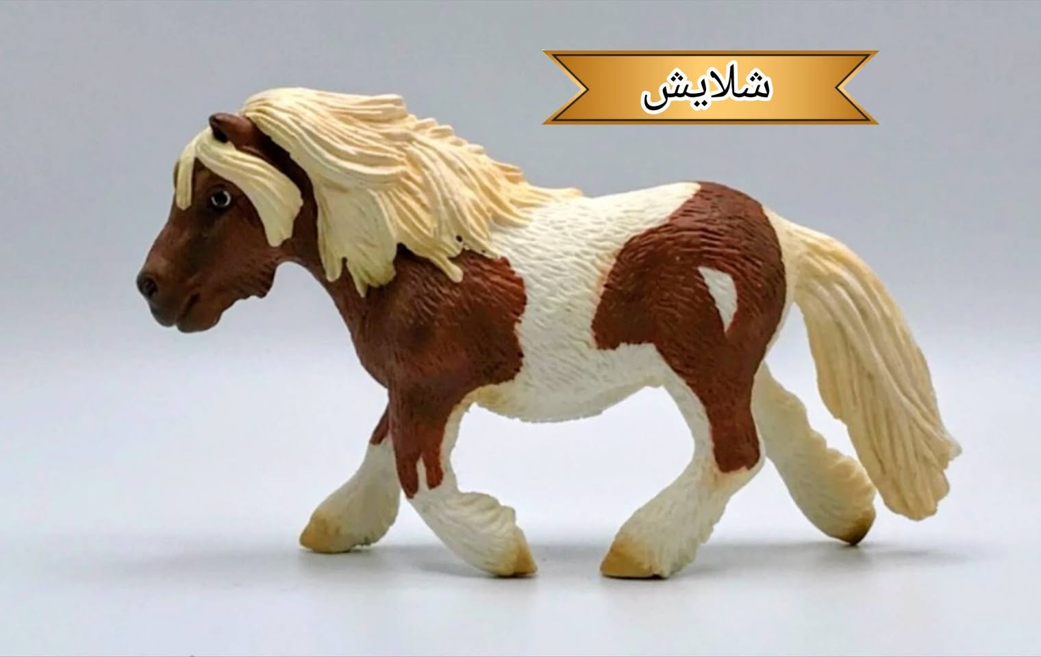متوفرات يوجد توصيل


**إذا كنت صاحب هذا الإعلان وتريد حذفه لأي سبب، رجاءا أرسل رسالة إلى الدعم الفني**
