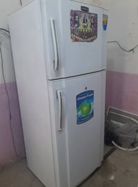 كونكورد • ٢٠ قدم • فول تجميد