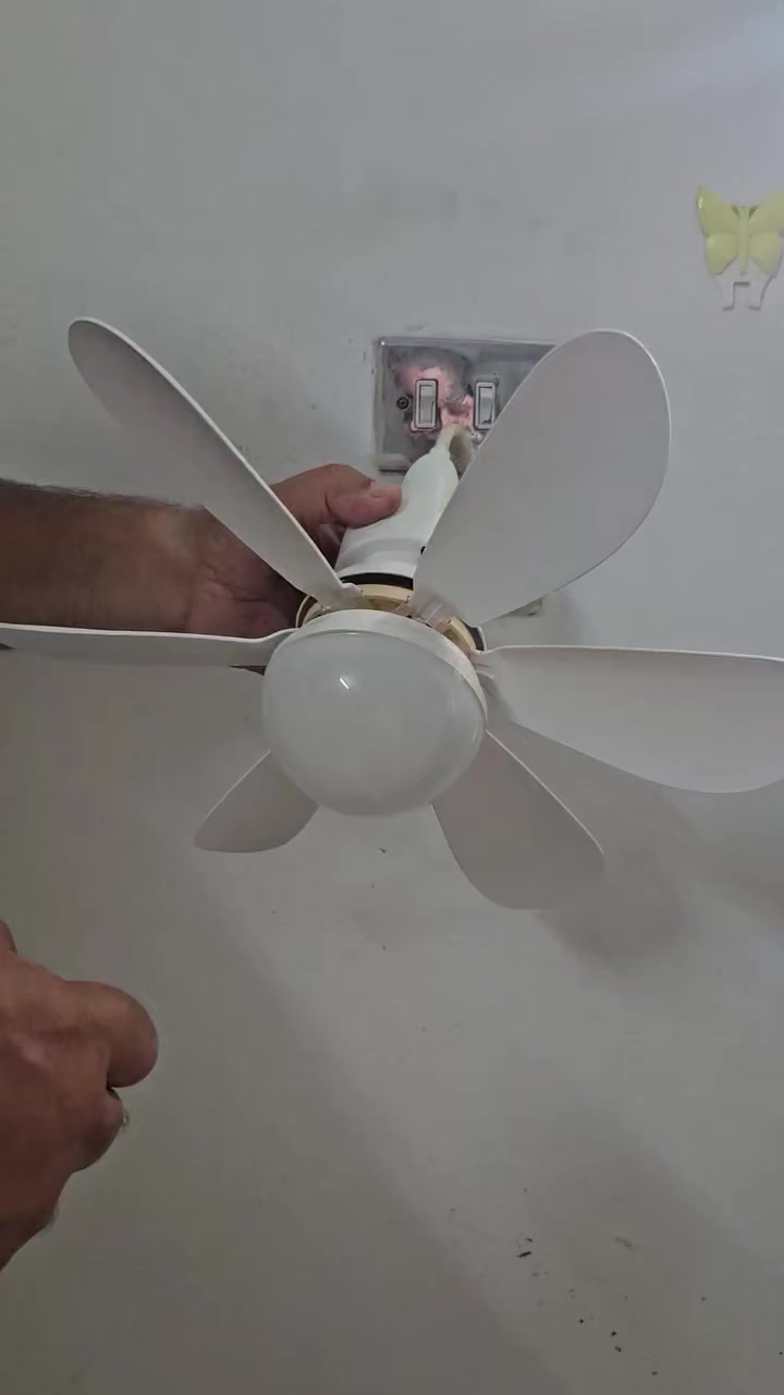 مروحه ومصباح


**إذا كنت صاحب هذا الإعلان وتريد حذفه لأي سبب، رجاءا أرسل رسالة إلى الدعم الفني**