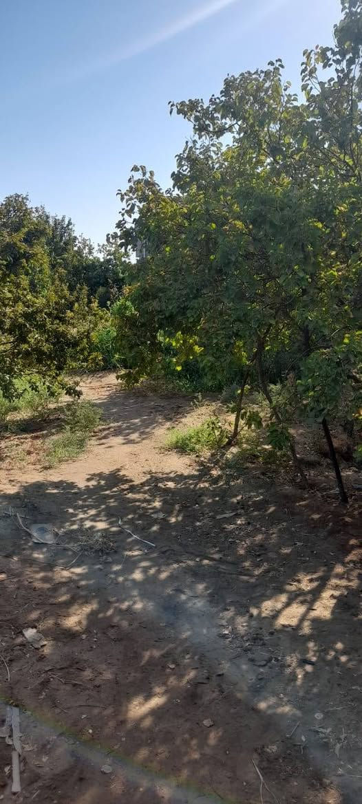 السلام عليكم
بستان للبيع 2 دونم
قرب مزرعة حسين ابو الكون
للأستفسار الاتصال على
***********
***********
