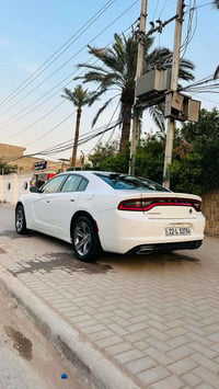 جارجر  للبيع كفاله من الصبغ والفتح كنديه موديل 2019 عداد 260 ماشيه 102...