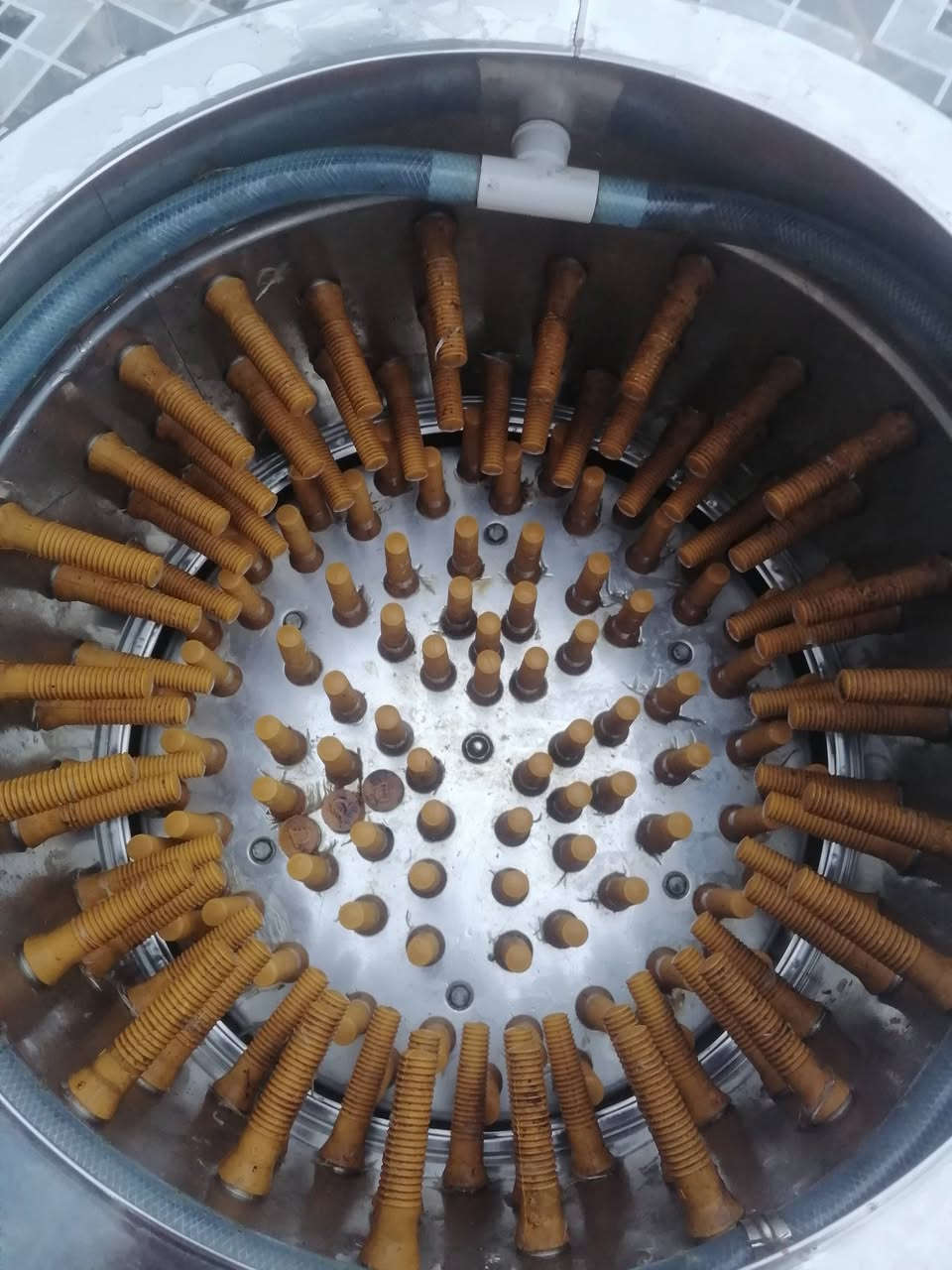 هلاسه دجاج جديده مستخدمه اقل الشهر مكاني ناصريه مركز السعر 275 الرقم ***********
