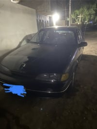 برنس • ١٩٩٥ • بعقوبه