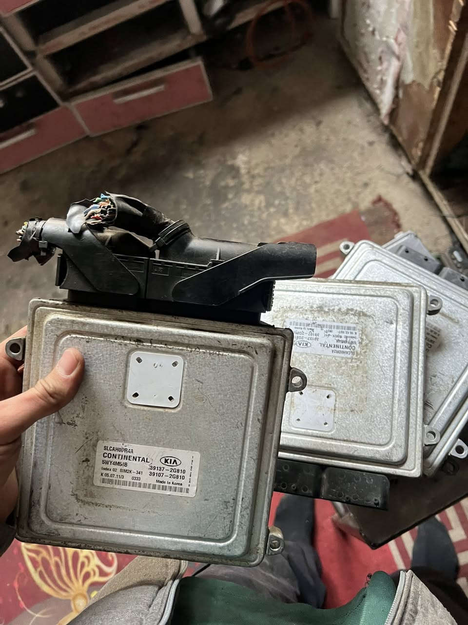 سلام عليكم توفرت عقول الرمز مالتهن 341 متوفر جملة ومفرد
***********
