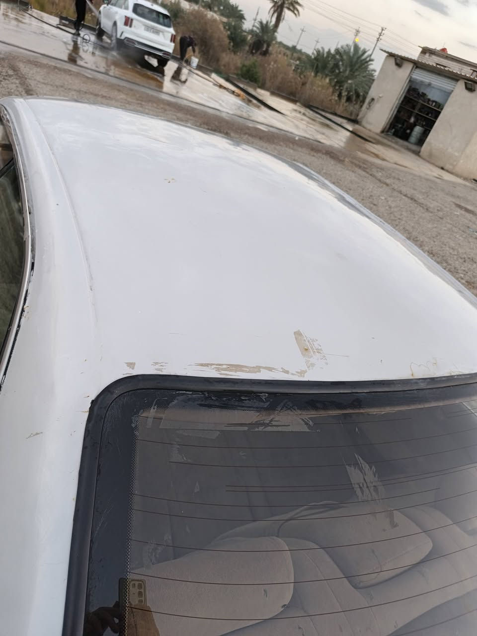 البصره قضاء المدينه السعر 40 ورقه السنويه ل 27 مقفوله من الضربه والقص والنقل مكينه وقير جدد مسبوقه صبغ عام***********
