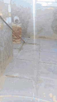 حي شرطه ديوانيه • ١٠٠م • غرفتين