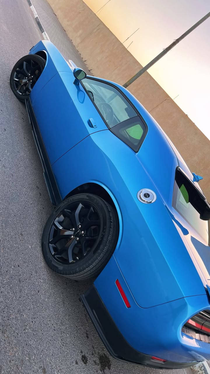 جالنجر sxt plus موديل ٢٠١٥ فول مواصفات
مكفولة من الضربة والصبغ تقريرها غرق ٥٪؜ 
ماداخل بيها قطرة ماي بتقرير الكارفكس 
سيارة جديدة فول مواصفات 
فتحة 
كشنات جلد تبريد تدفئة 
ستيرن تدفئة
شاشة جبيرة
كشنات كهرباء خزن ميموري 
رقمها بغداد بأسمي 
مكانها بالبصرة 
سعرها 165

***********
