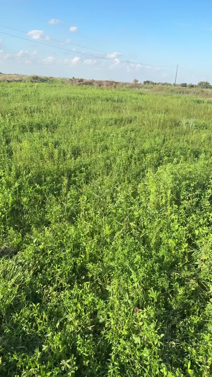 سلام عليكم برسيم للبيع ع المشروع مقابيل قريه الهوز
***********
